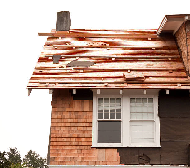 Storm Damage Siding Repair in La Marque, TX